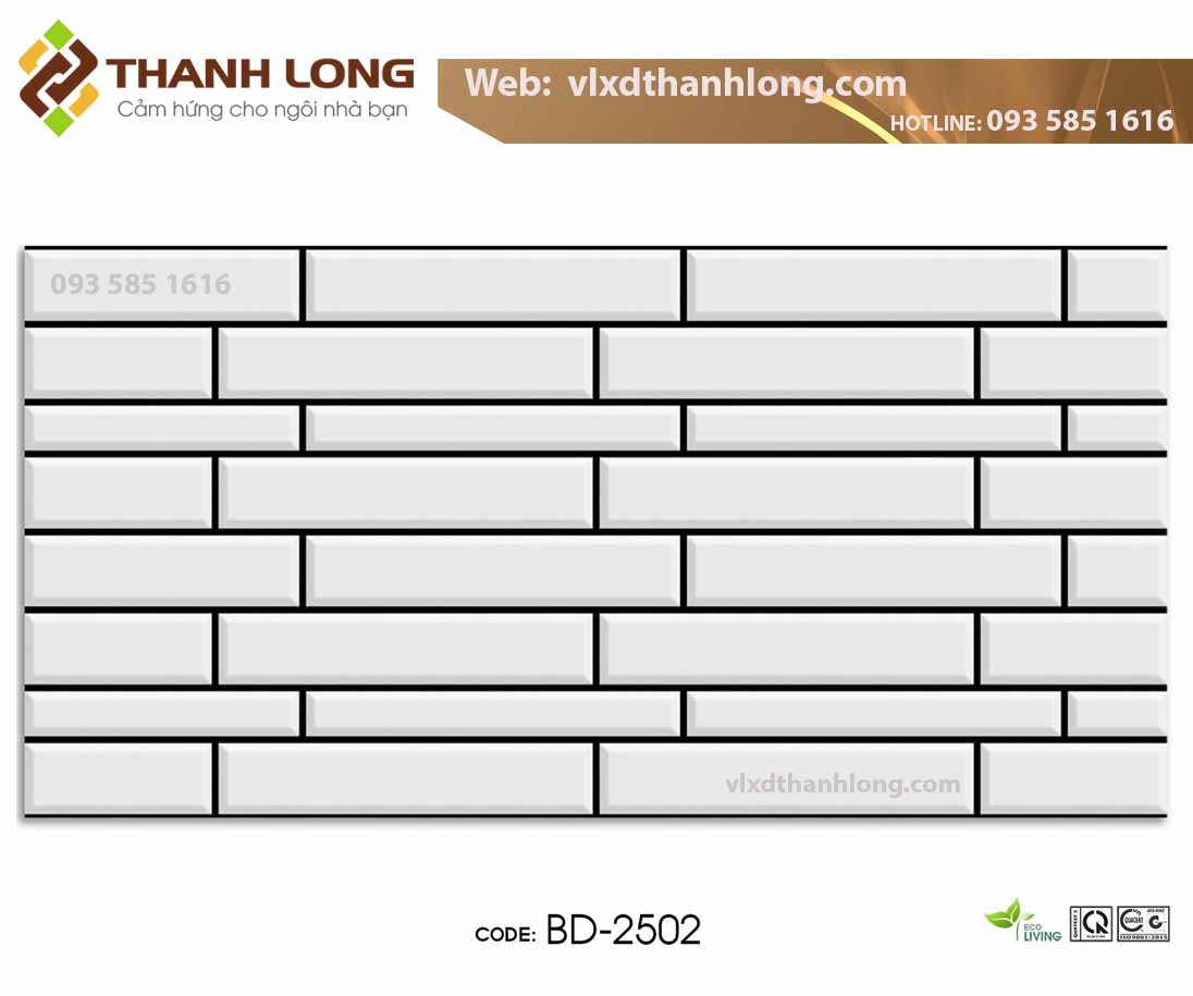 (25x50) Gạch Trang Trí Men Bóng (8v/t = 1m2)